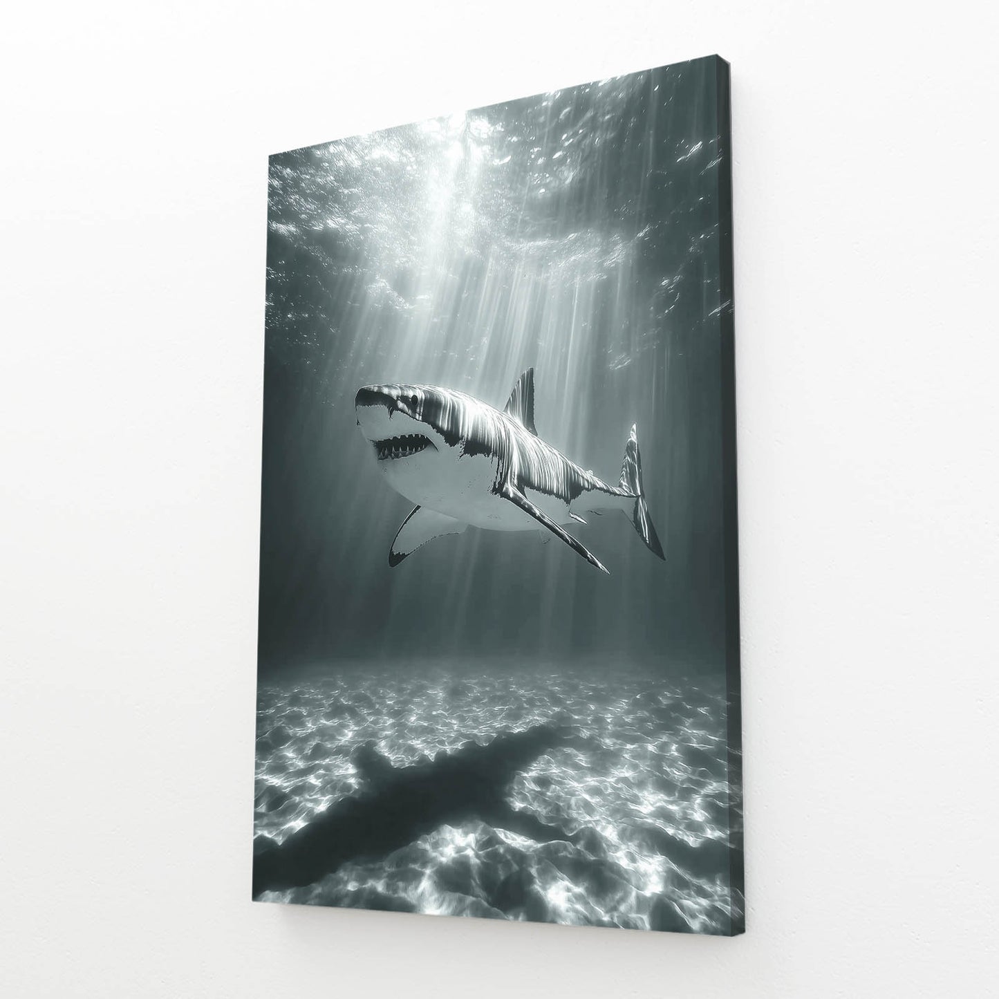 Black and White Sunrays Shark Prints – angled canvas view on white background