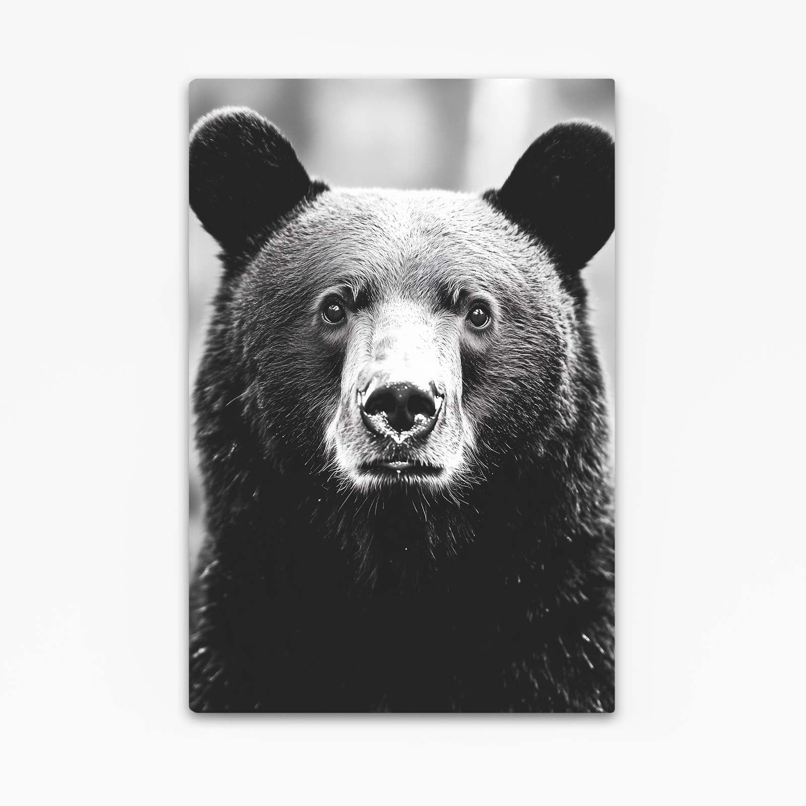 Black Bear Art