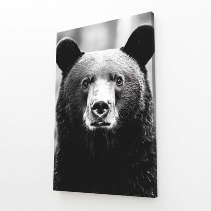 Black Bear Art