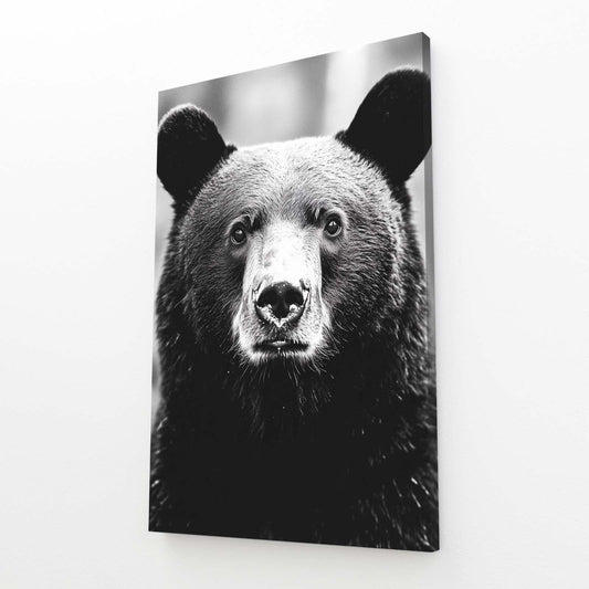 Black Bear Art