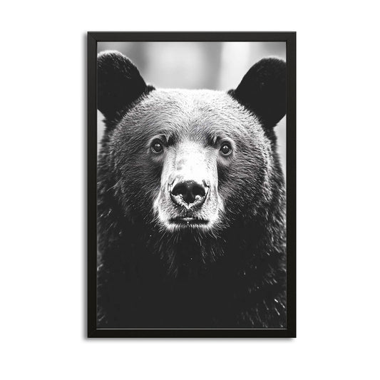 Black Bear Art – canvas print on white background