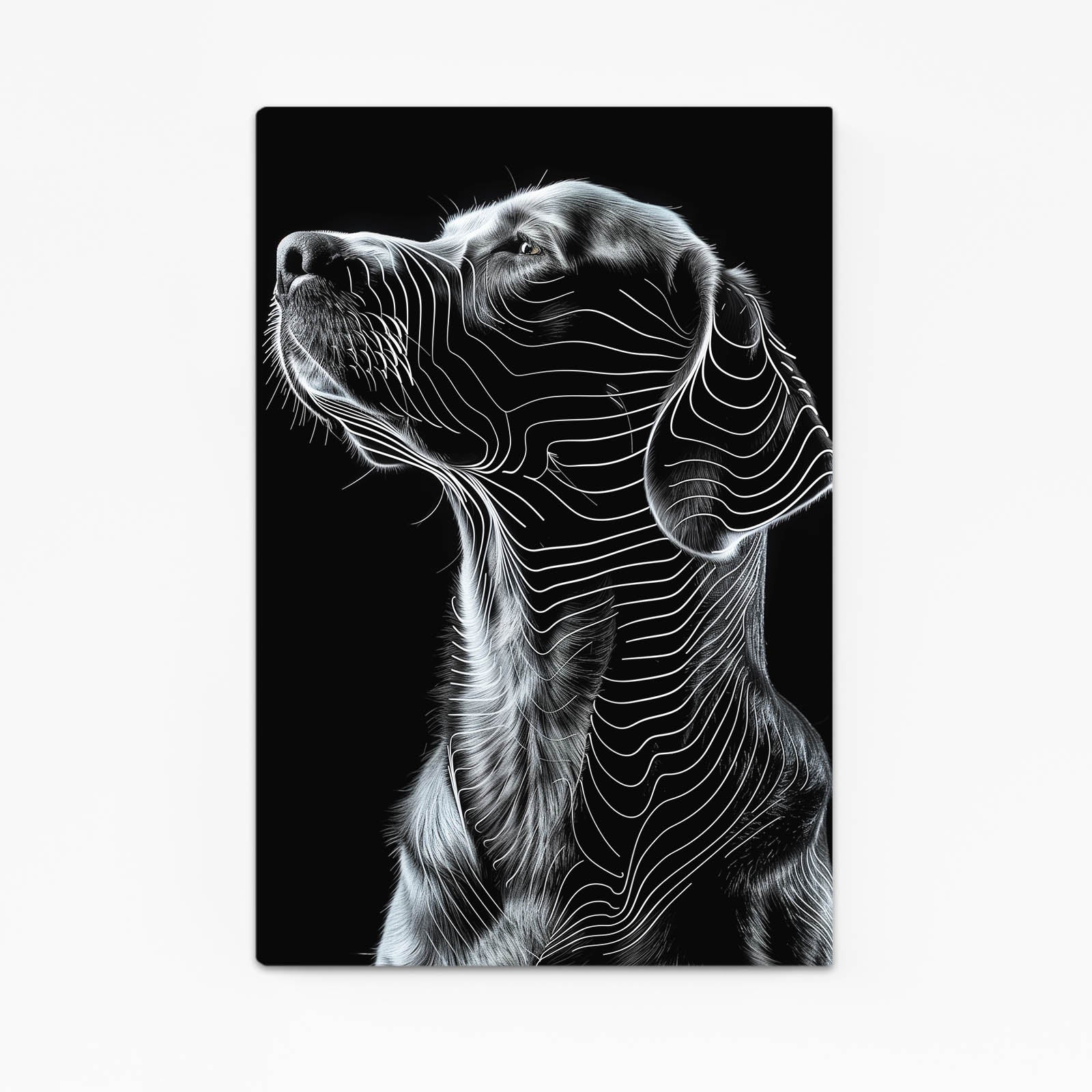 Black Dog Wall Art