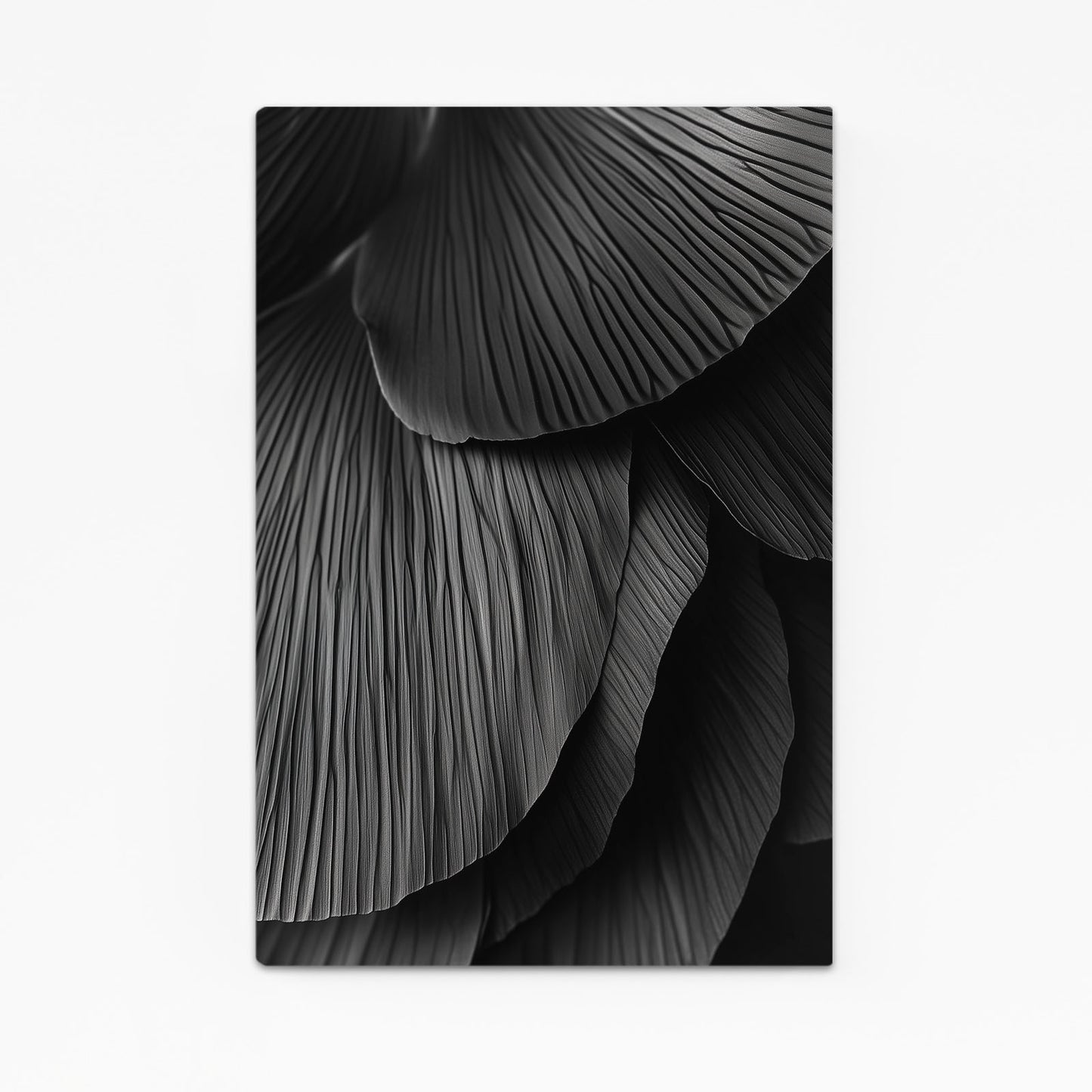 Black Fan Ripple Abstract Canvas Art – black fan ripple abstract canvas print