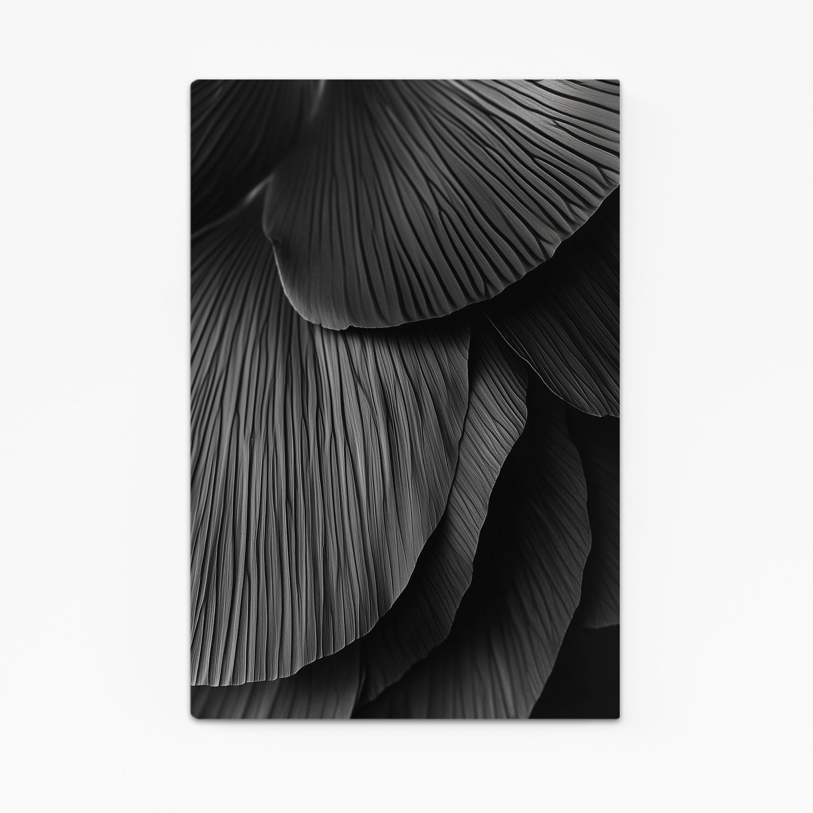 Black Fan Ripple Abstract Canvas Art – black fan ripple abstract canvas print