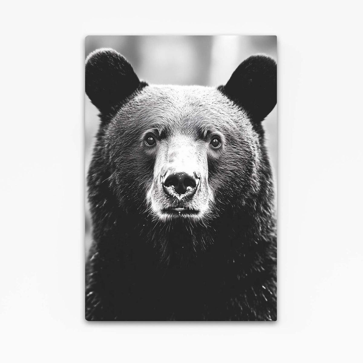 Black Fur Portrait Bear Wall Art — minimalist canvas print, canvas print on white background