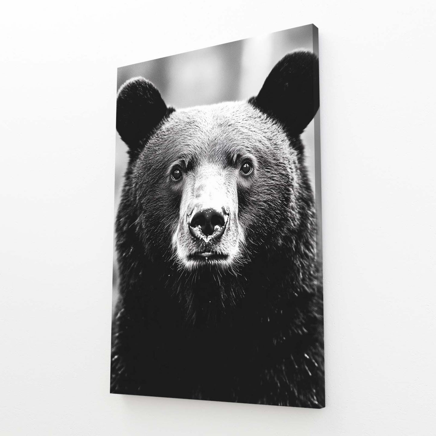 Black Fur Portrait Bear Wall Art — minimalist canvas print, angled canvas view on white background