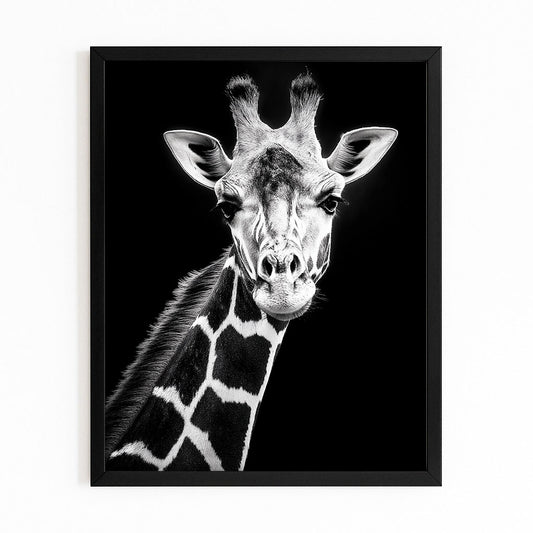 Framed black and white portrait of a giraffe on a white background