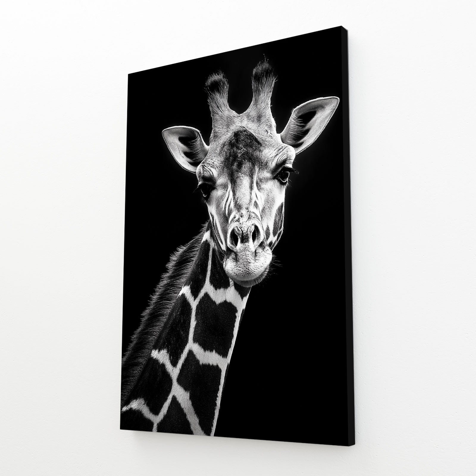 Canvas print of a black and white giraffe on a white background