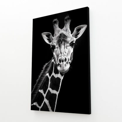 Canvas print of a black and white giraffe on a white background