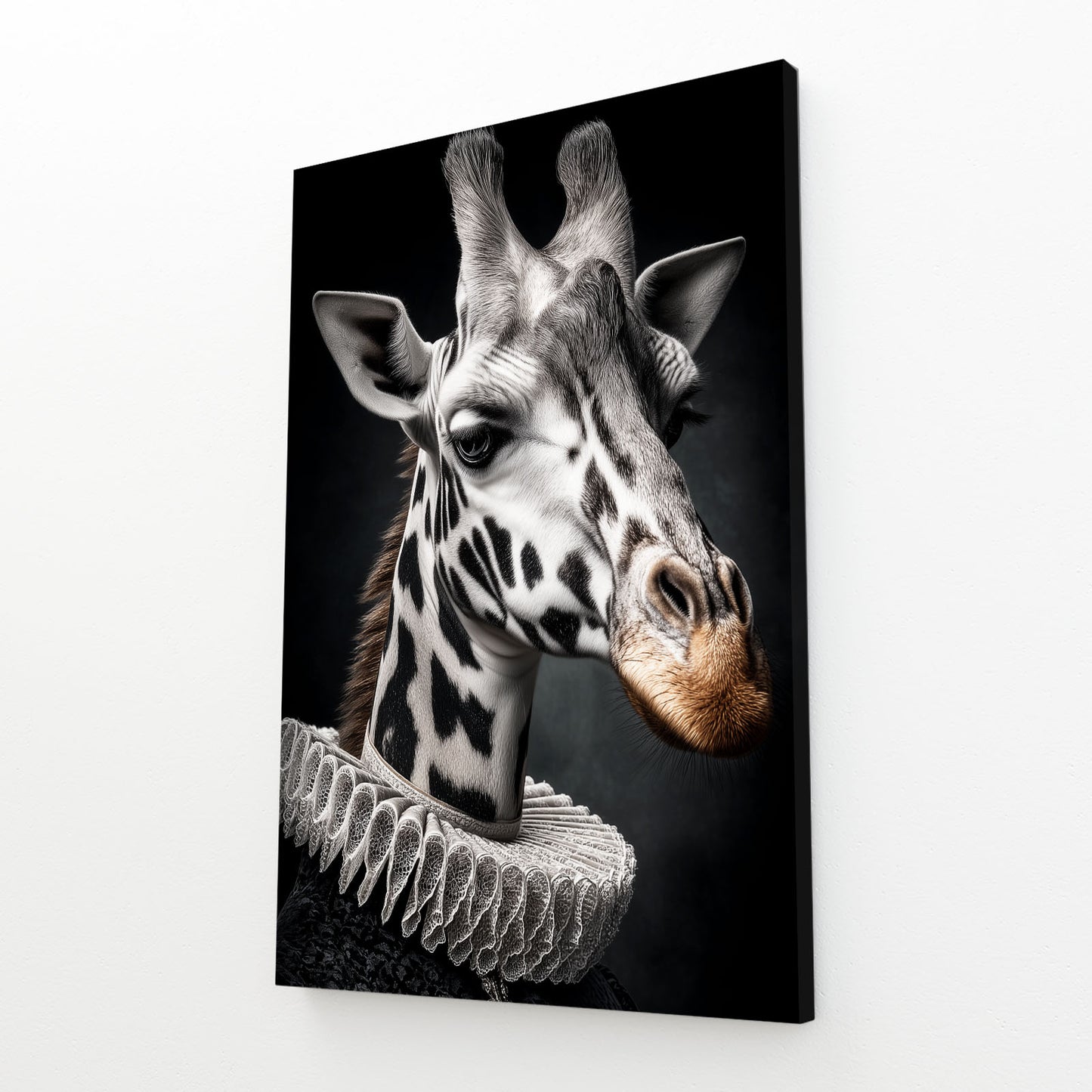 Canvas print of a giraffe's head on a black background