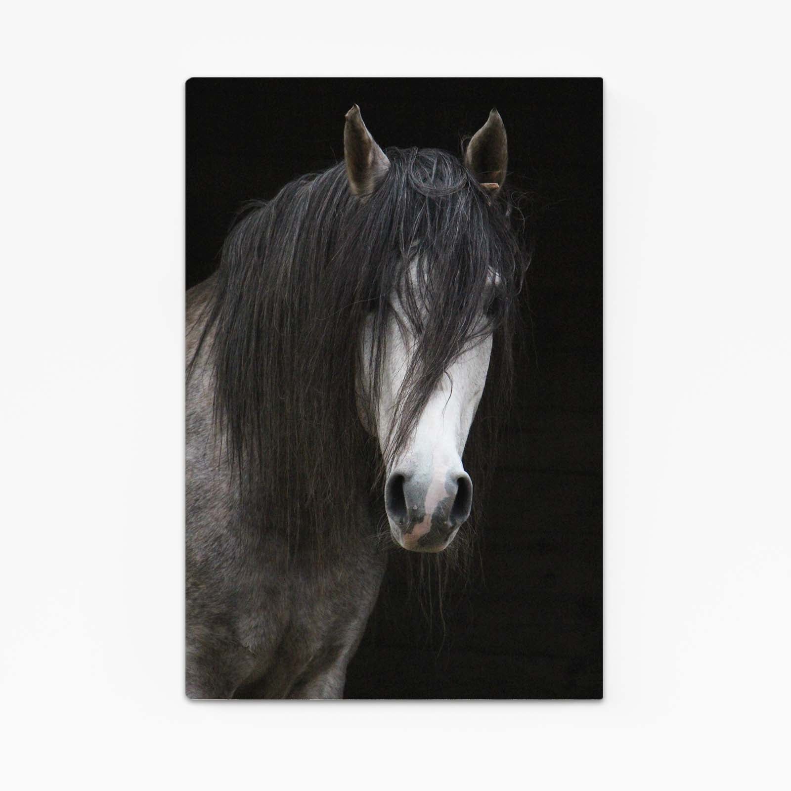 Black Horse Art – angled canvas view on white background