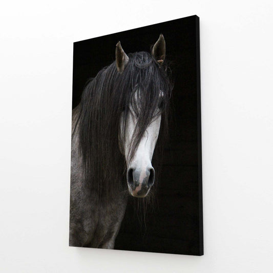 Black Horse Art – angled canvas view on white background