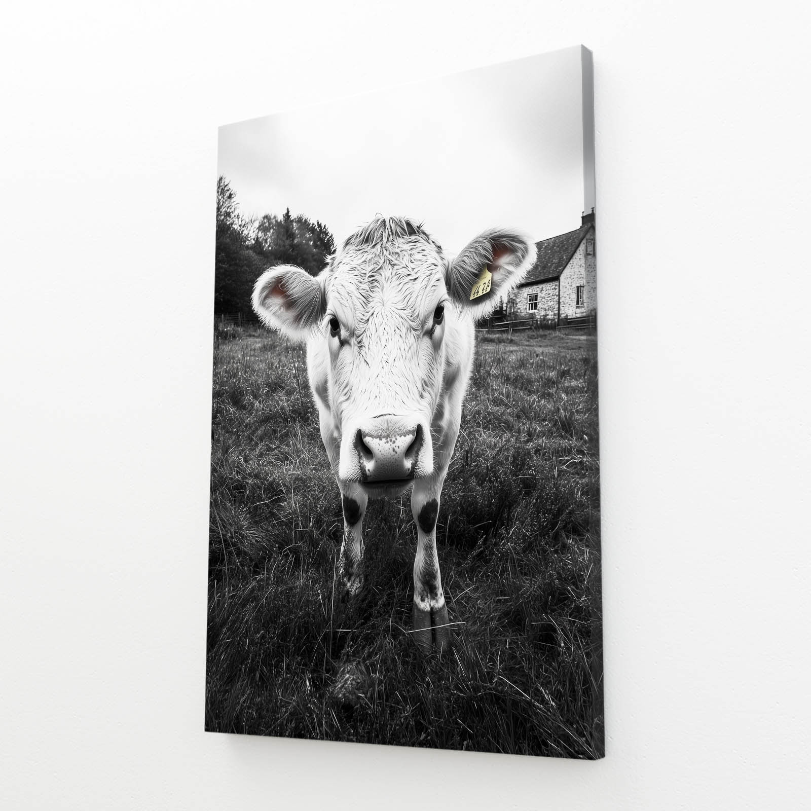 Black White Cow Wall Art – angled canvas view on white background