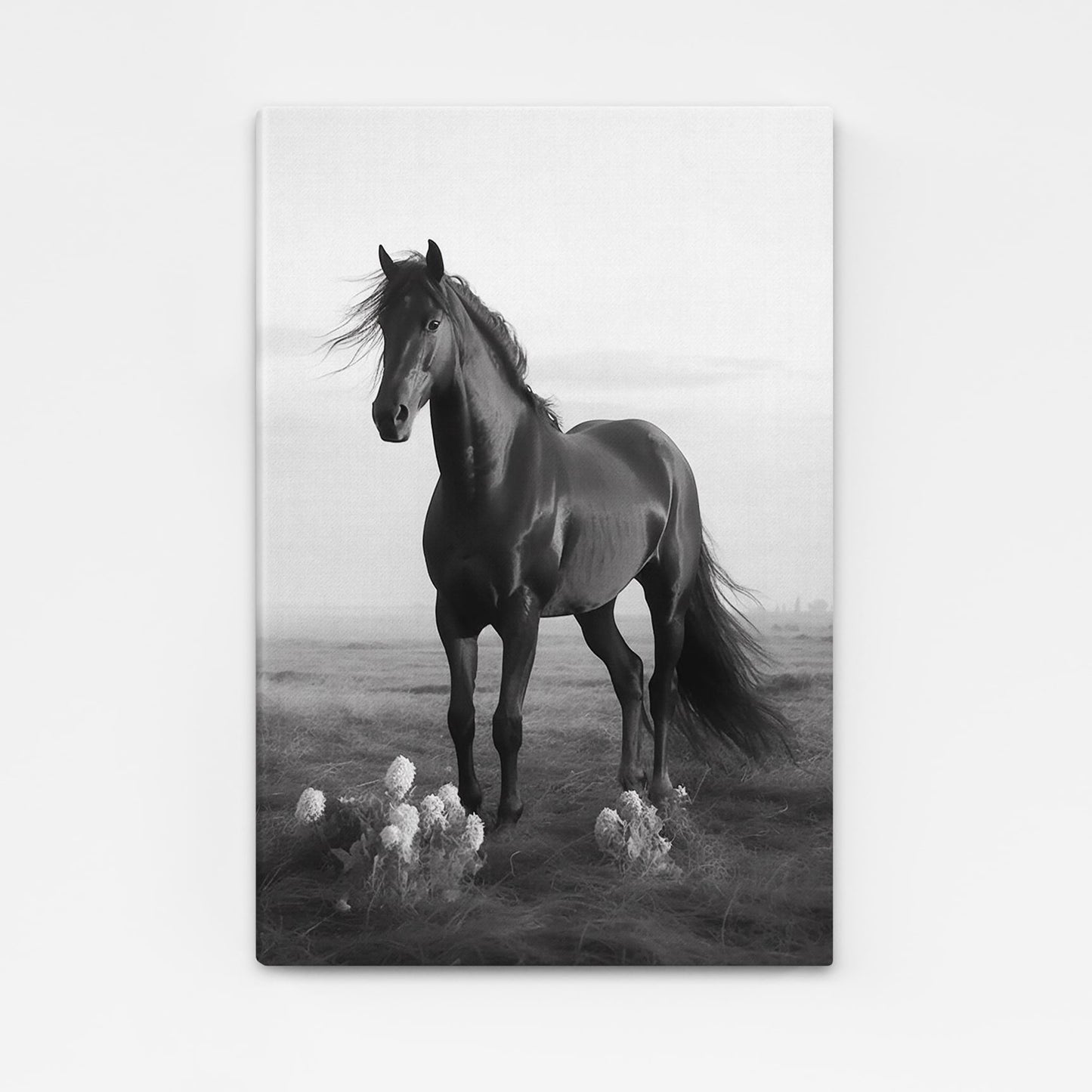Black White Horse Canvas – angled canvas view on white background