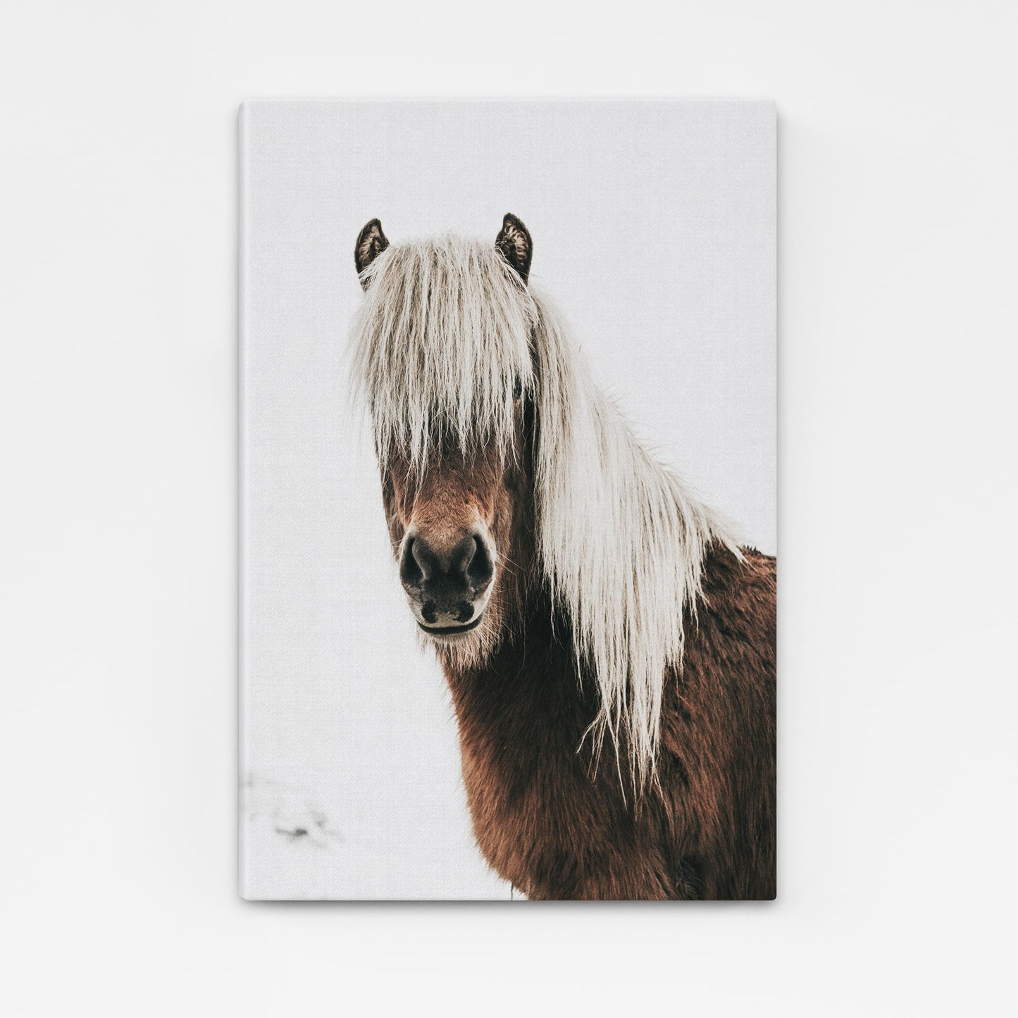 Black White Horse Wall Art – angled canvas view on white background
