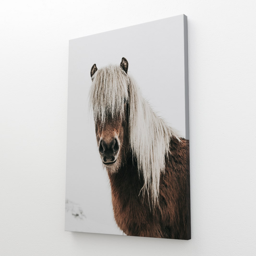 Black White Horse Wall Art – angled canvas view on white background