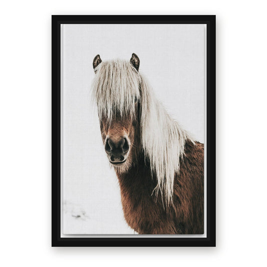 Black White Horse Wall Art – with Premium Black wood frame