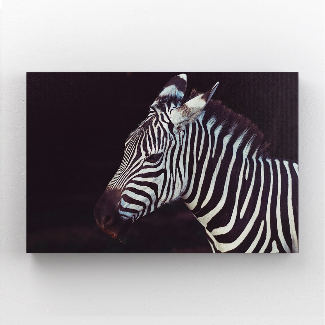 Black White Zebra Artwork – styled in a furnished interior