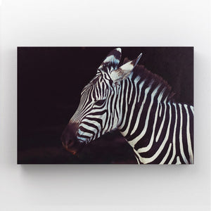 Black White Zebra Artwork