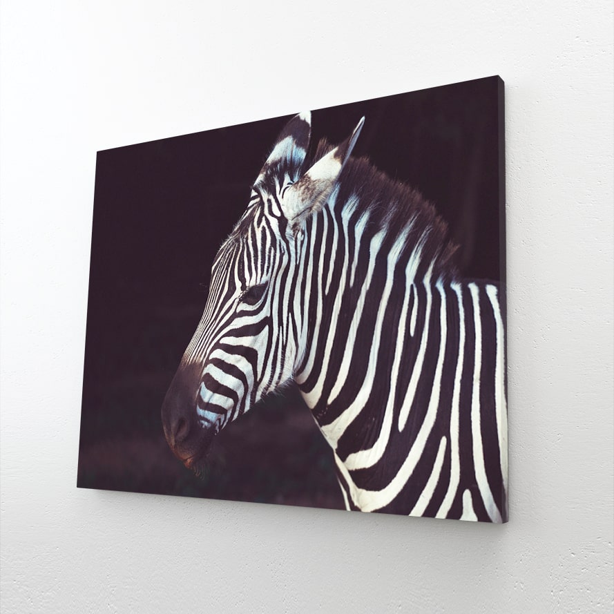 Black White Zebra Artwork – styled in a furnished interior