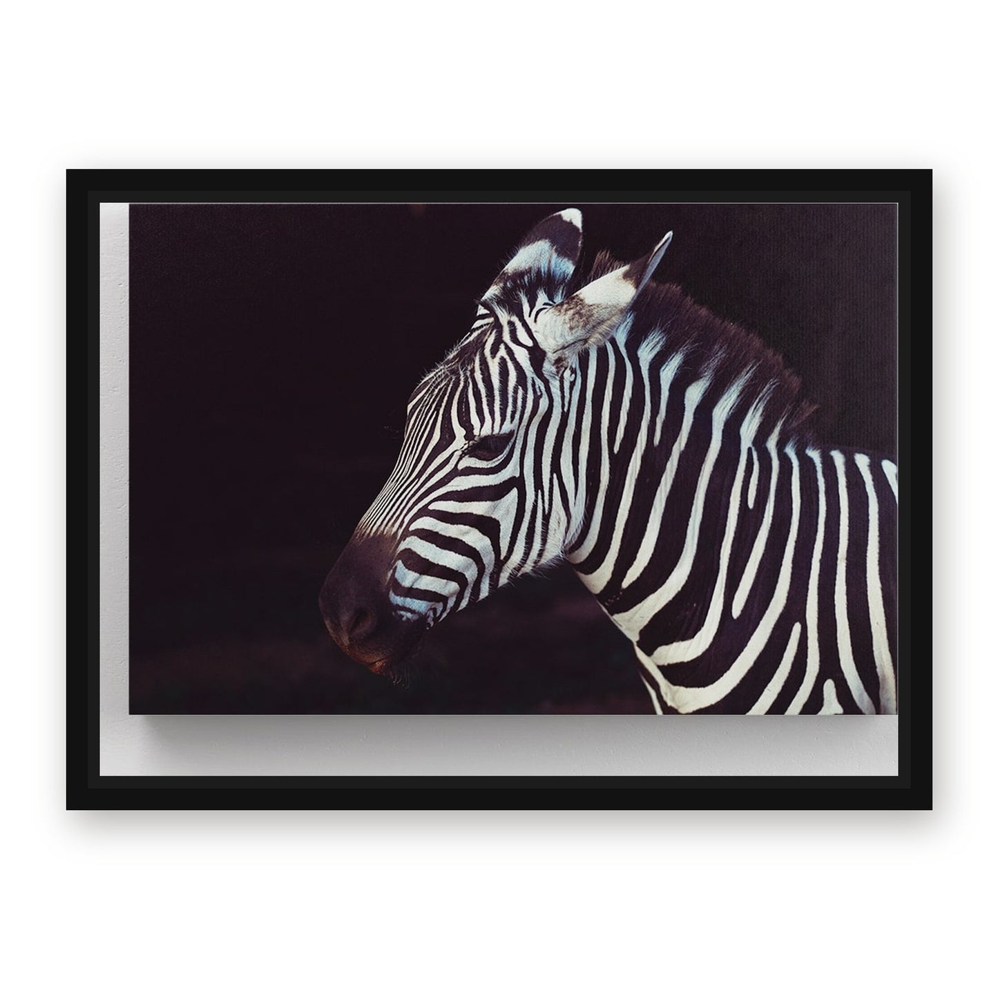 Black White Zebra Artwork – with Premium Black wood frame