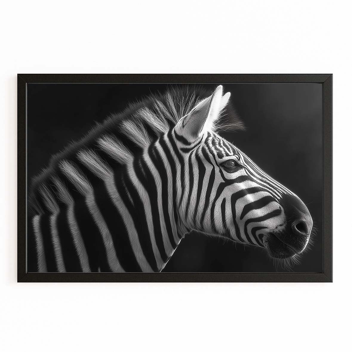 Black White Zebra Canvas Art – with Premium Black frame on white background