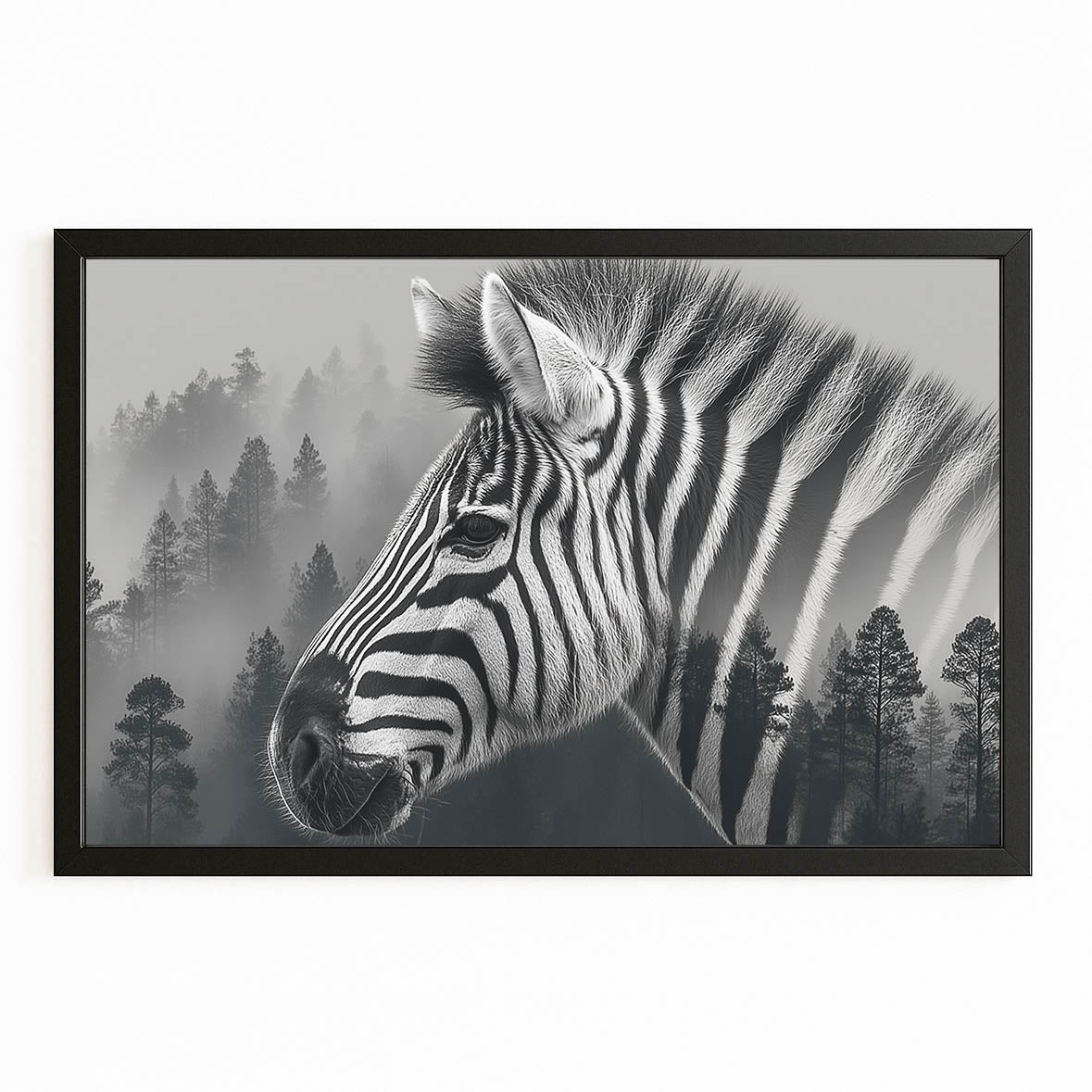 Black White Zebra Canvas – with Premium Black frame on white background