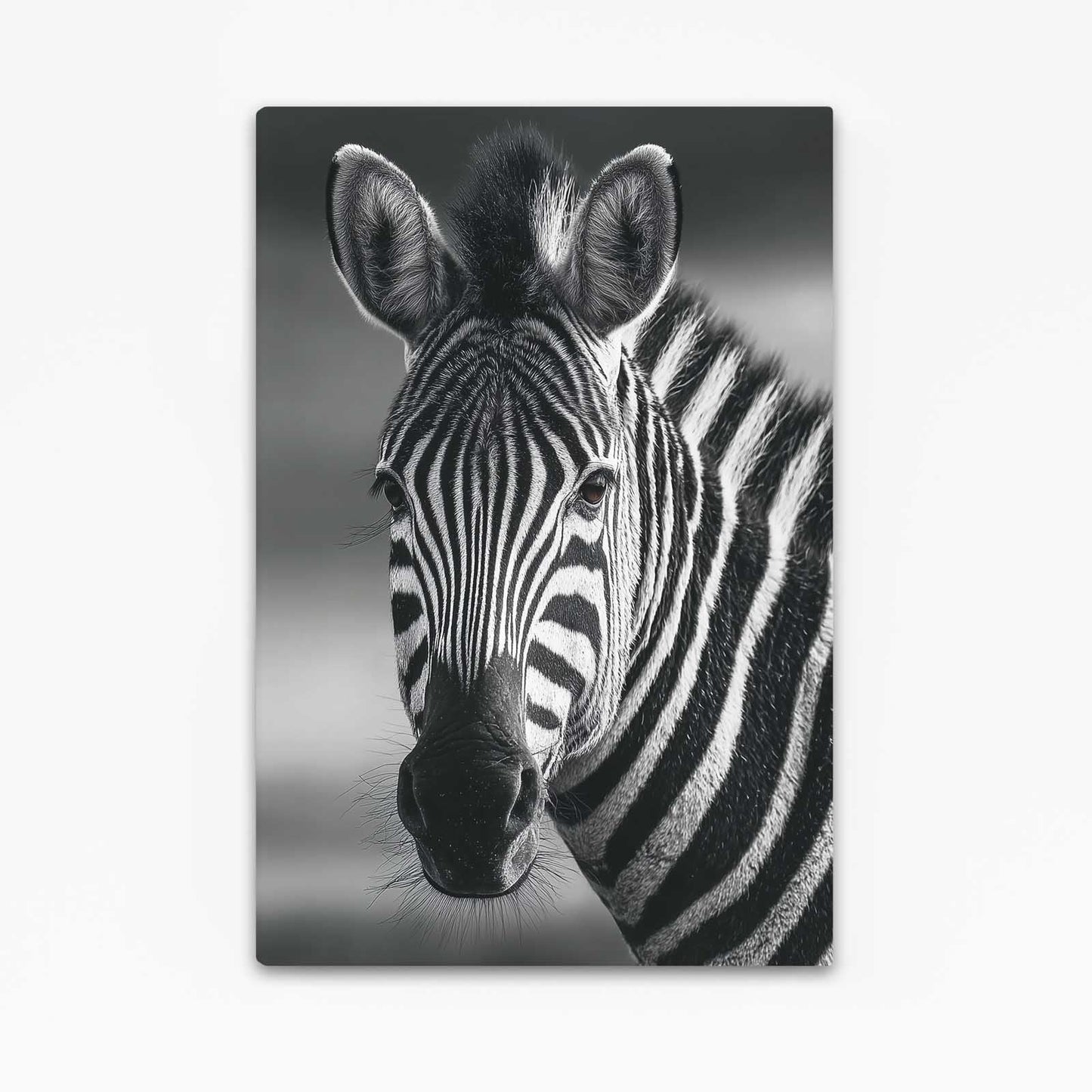 Black White Zebra Prints – black white canvas print