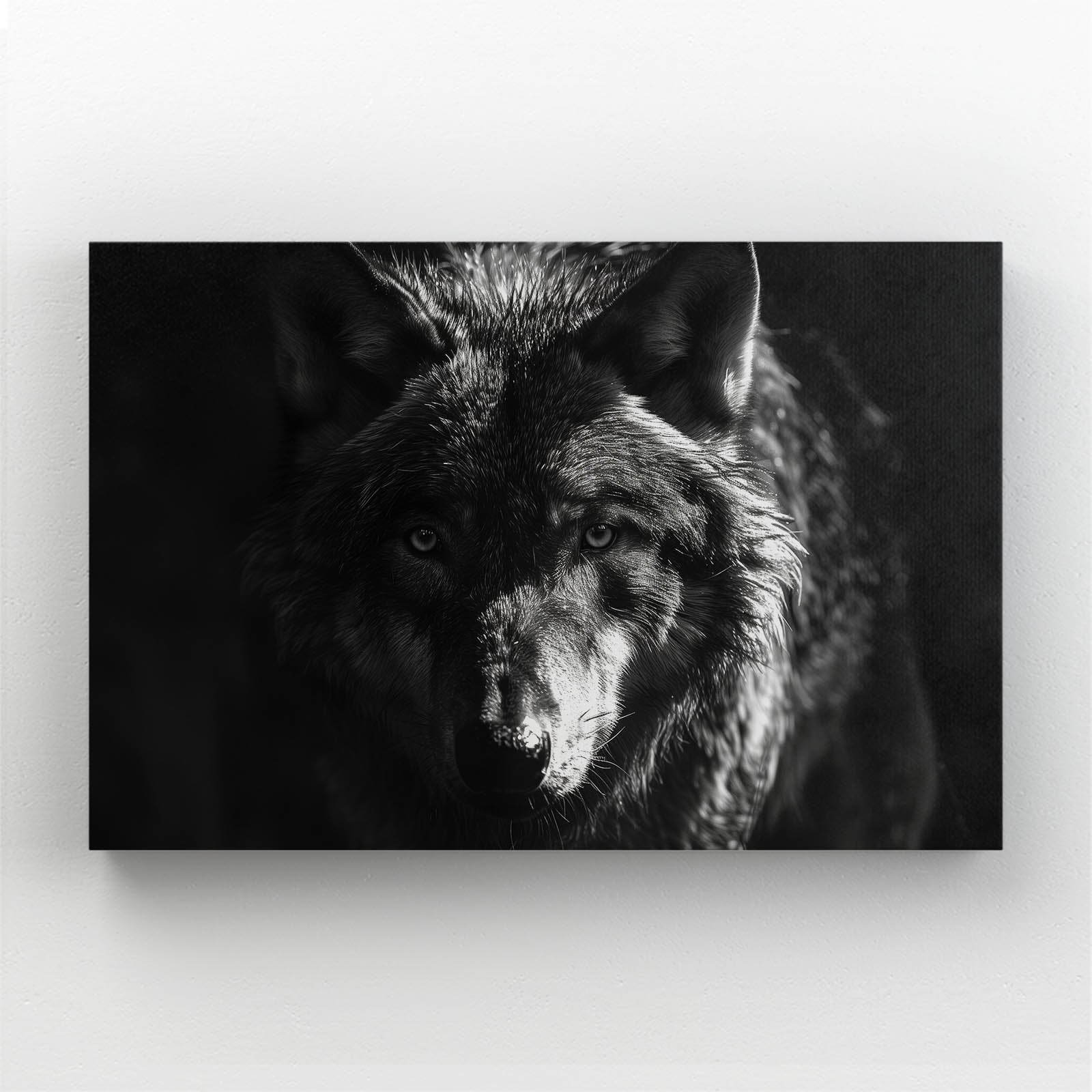 Black Wolf Artwork