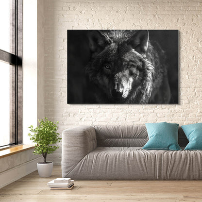 Black Wolf Artwork