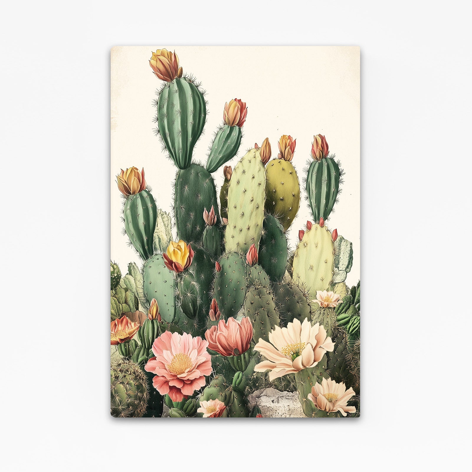 Blossom Prickly Pear Cactus Canvas – blossom prickly pear cactus canvas print