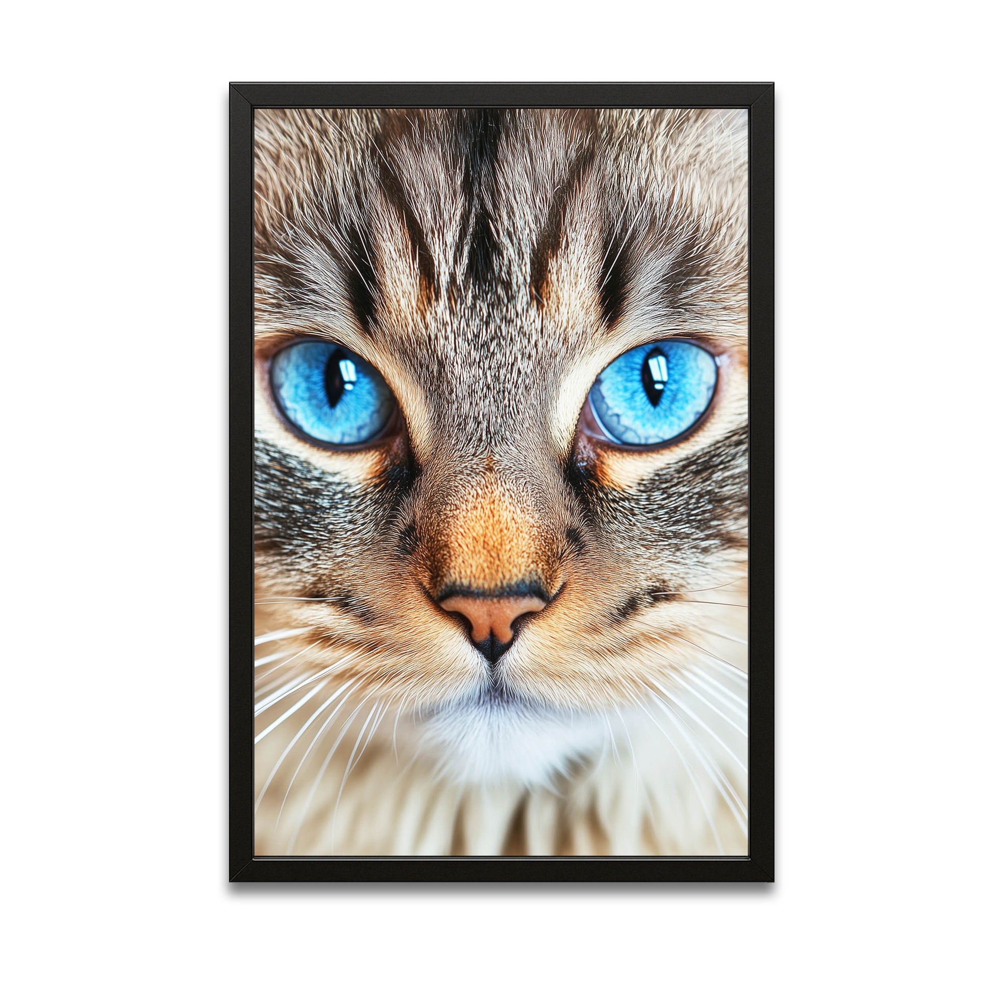 Blue Eyed Cat Wall Art – canvas print on white background