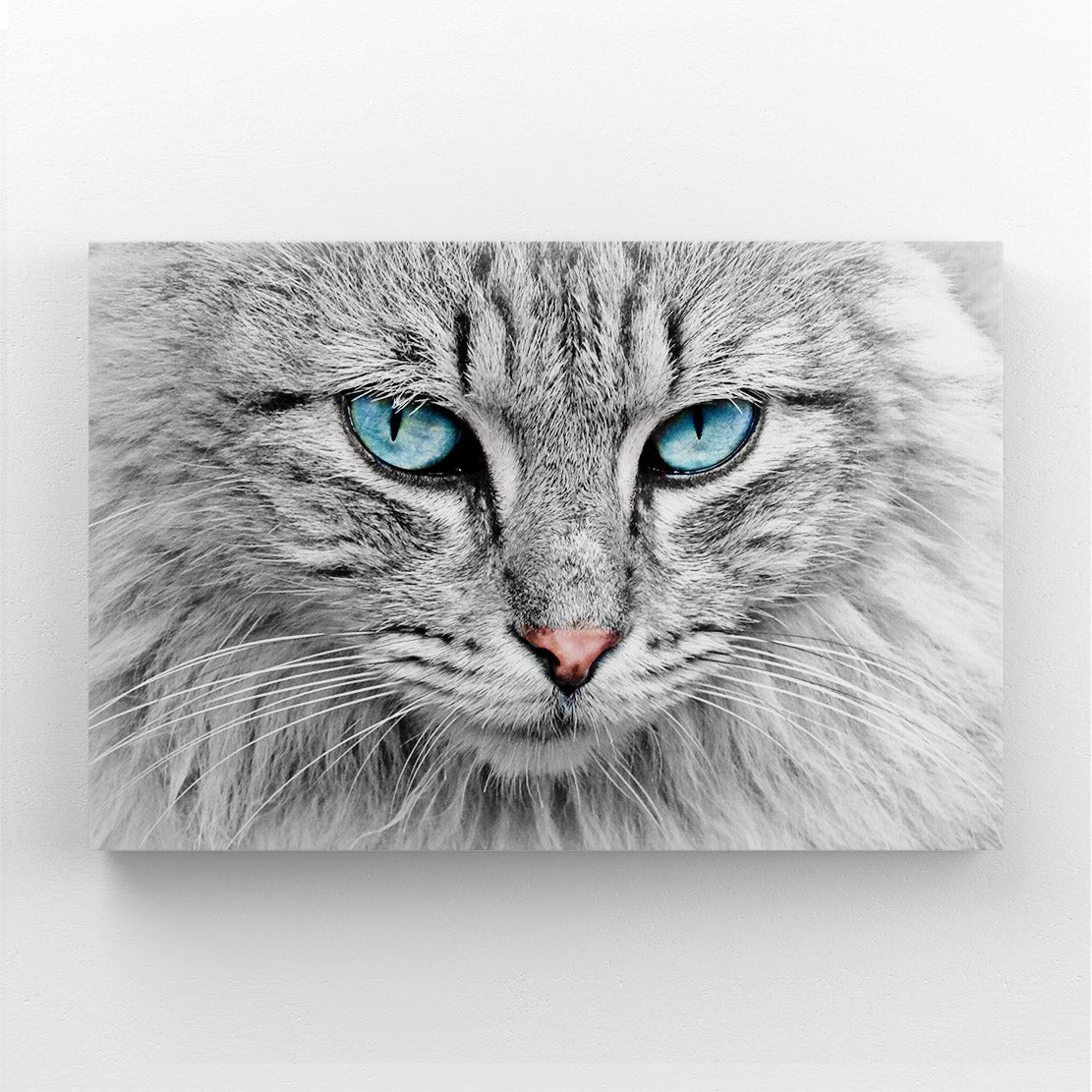 Blue Eyes Cat Art