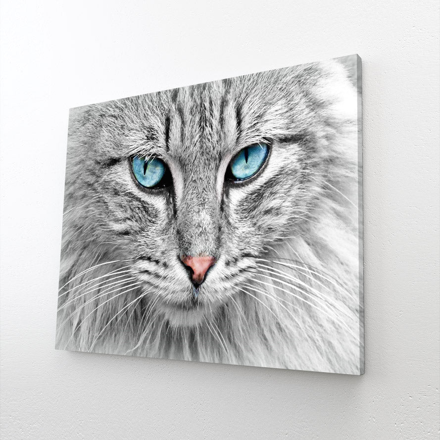 Blue Eyes Cat Art