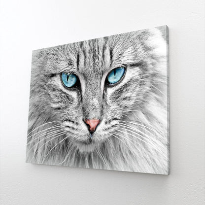 Blue Eyes Cat Art