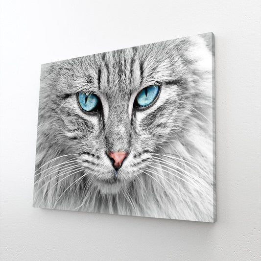 Blue Eyes Cat Art