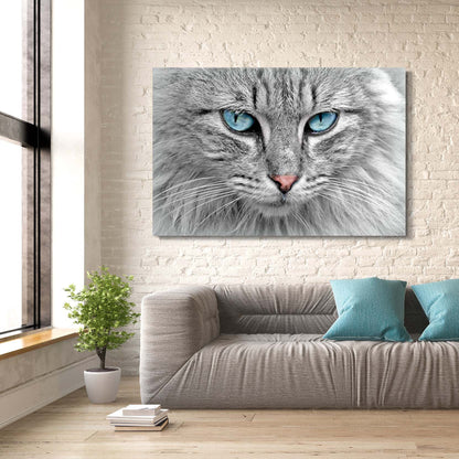 Blue Eyes Cat Art
