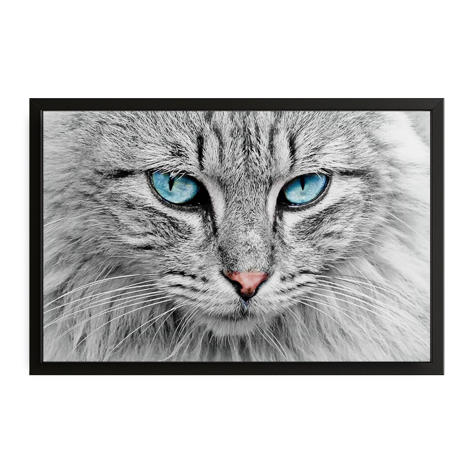 Blue Eyes Cat Art – canvas print on white background