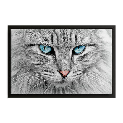 Blue Eyes Cat Art