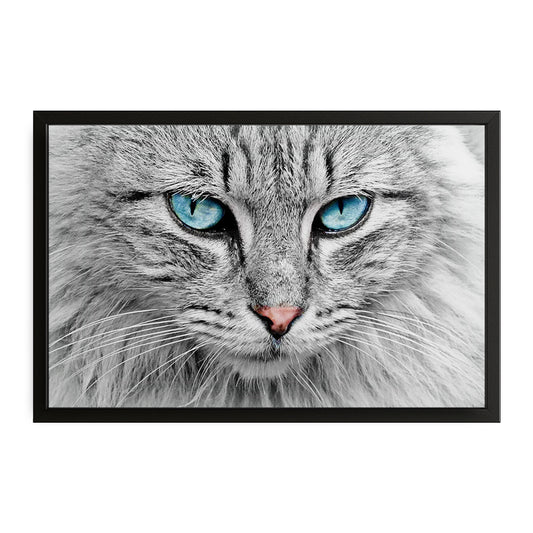 Blue Eyes Cat Art – canvas print on white background