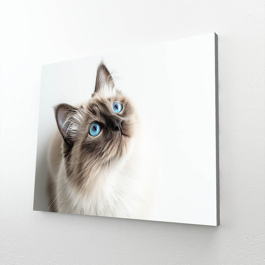 Blue Eyes Cat Wall Art