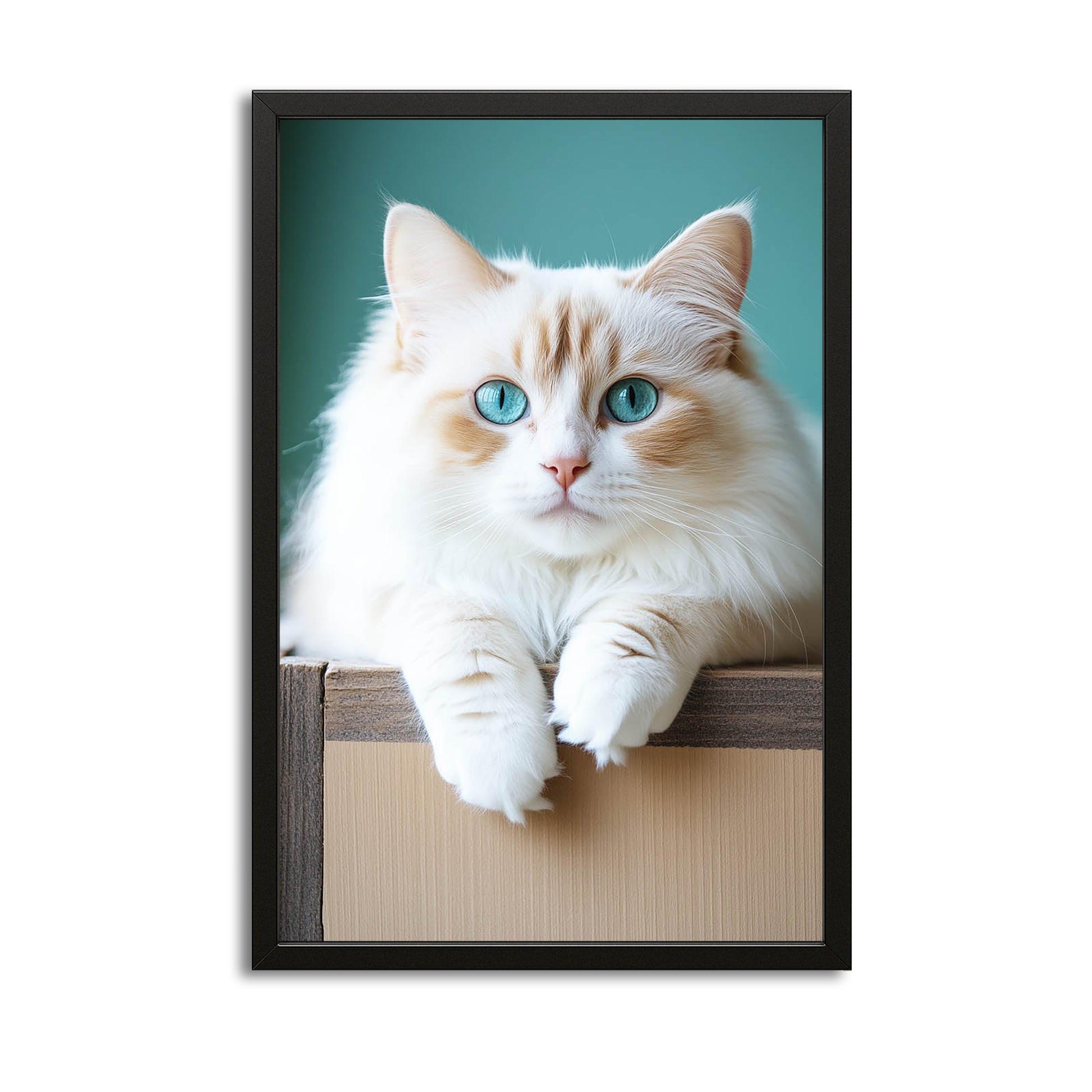 Blue Eyes White Cat Wall Art – canvas print on white background