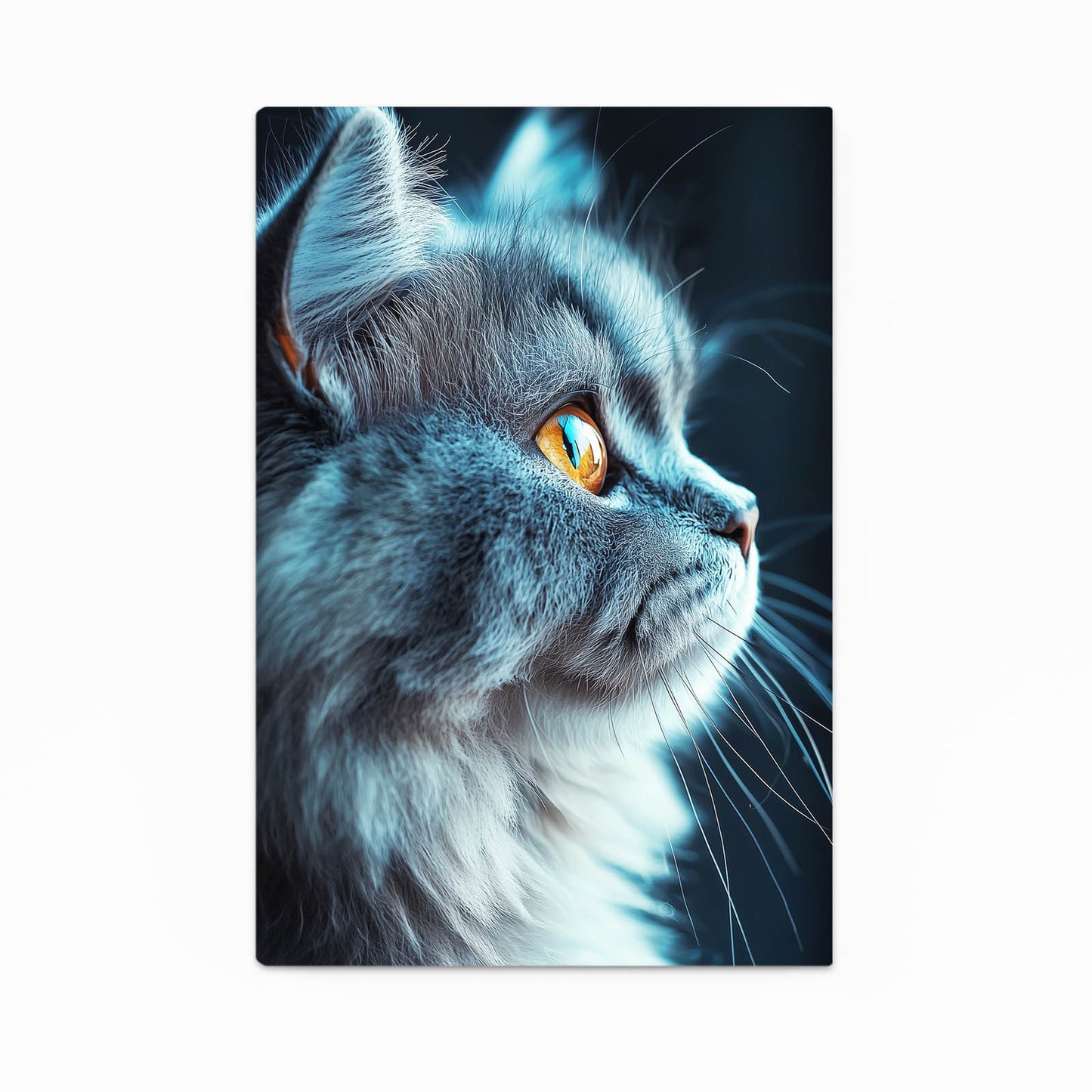 Blue Grey Profile Cat Canvas Art — photography canvas print, canvas print on white background