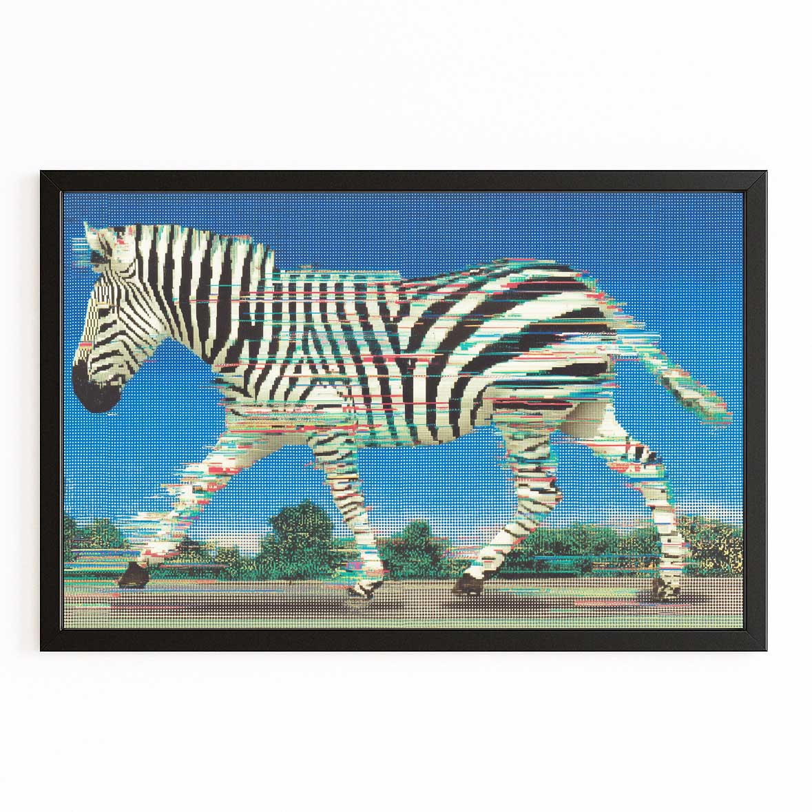 Blue Zebra Canvas – with Premium Black frame on white background