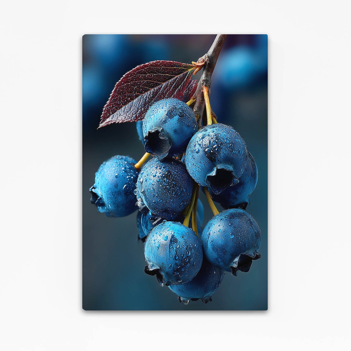 Blueberry Branch Blue Fruit Art – blueberry branch blue fruit canvas print