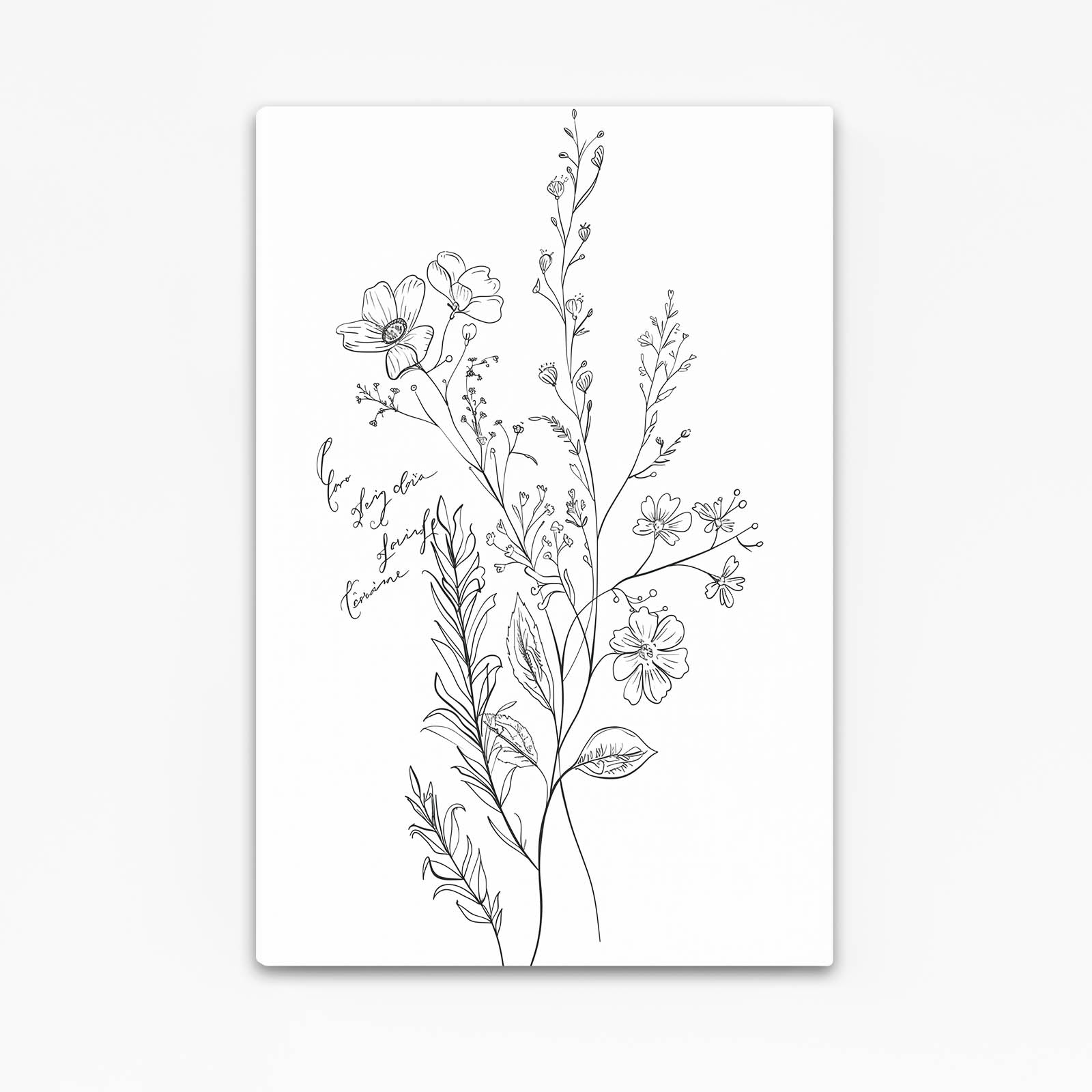 Boho Black & White Botanical Art