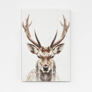 Boho Deer Wall Art