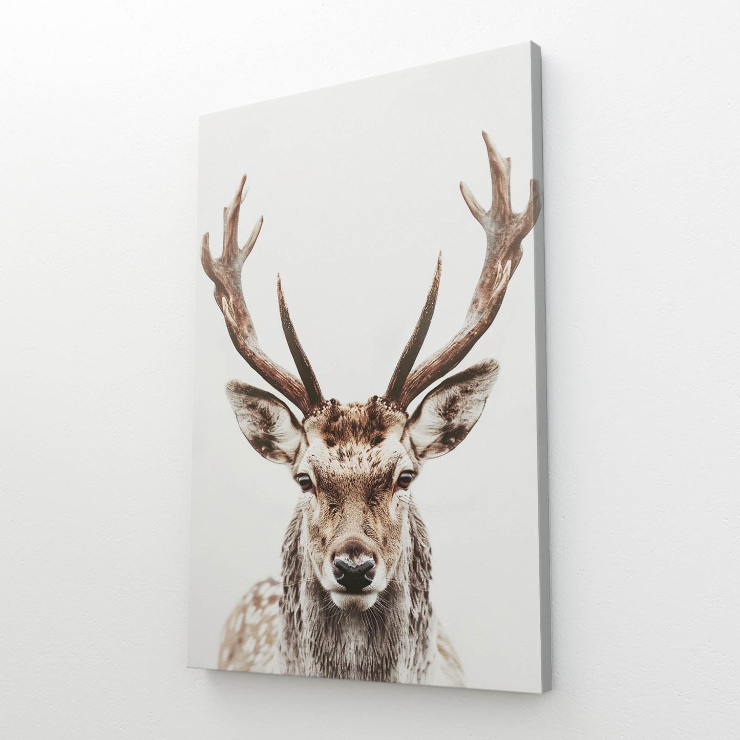 Boho Deer Wall Art