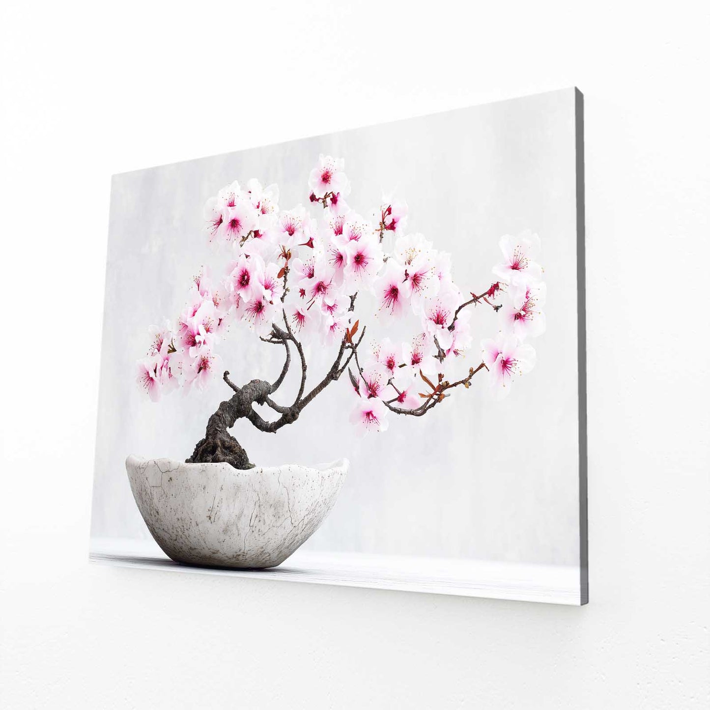 Bonsai In Bowl Cherry Blossom Wall Decor – bonsai in bowl cherry blossom canvas print