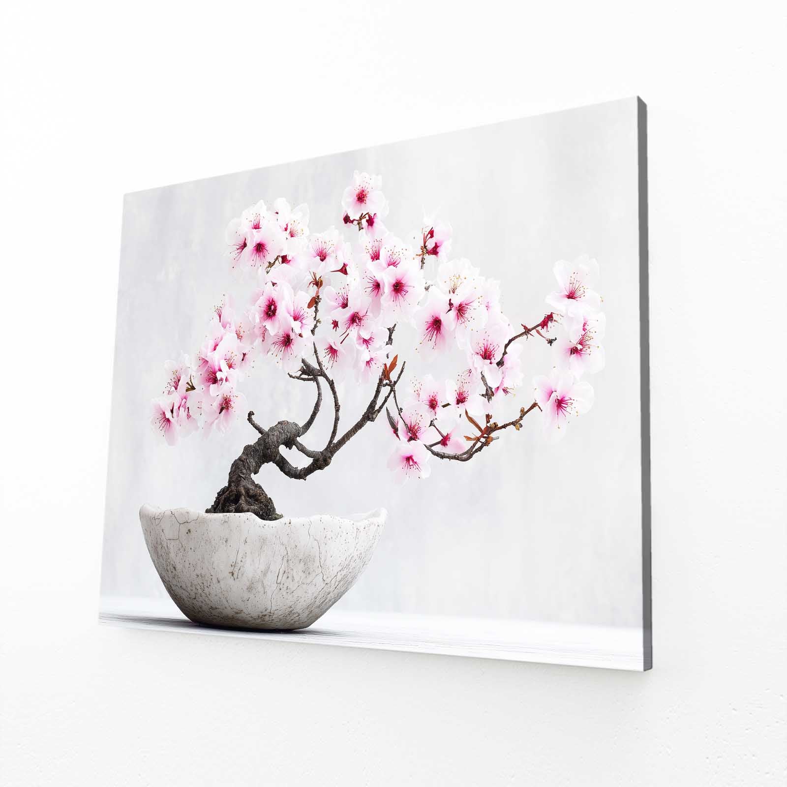 Bonsai In Bowl Cherry Blossom Wall Decor – bonsai in bowl cherry blossom canvas print